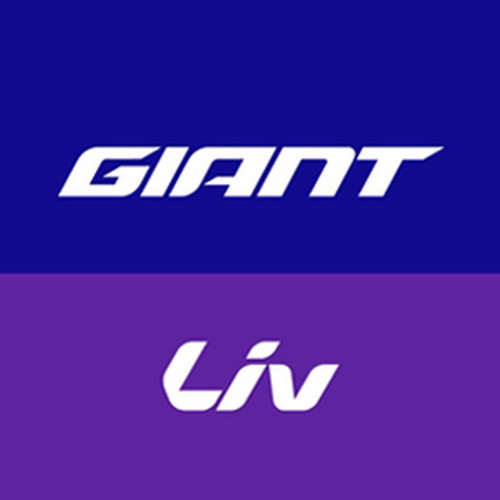 جاینت / لیو  GIANT/LIV
